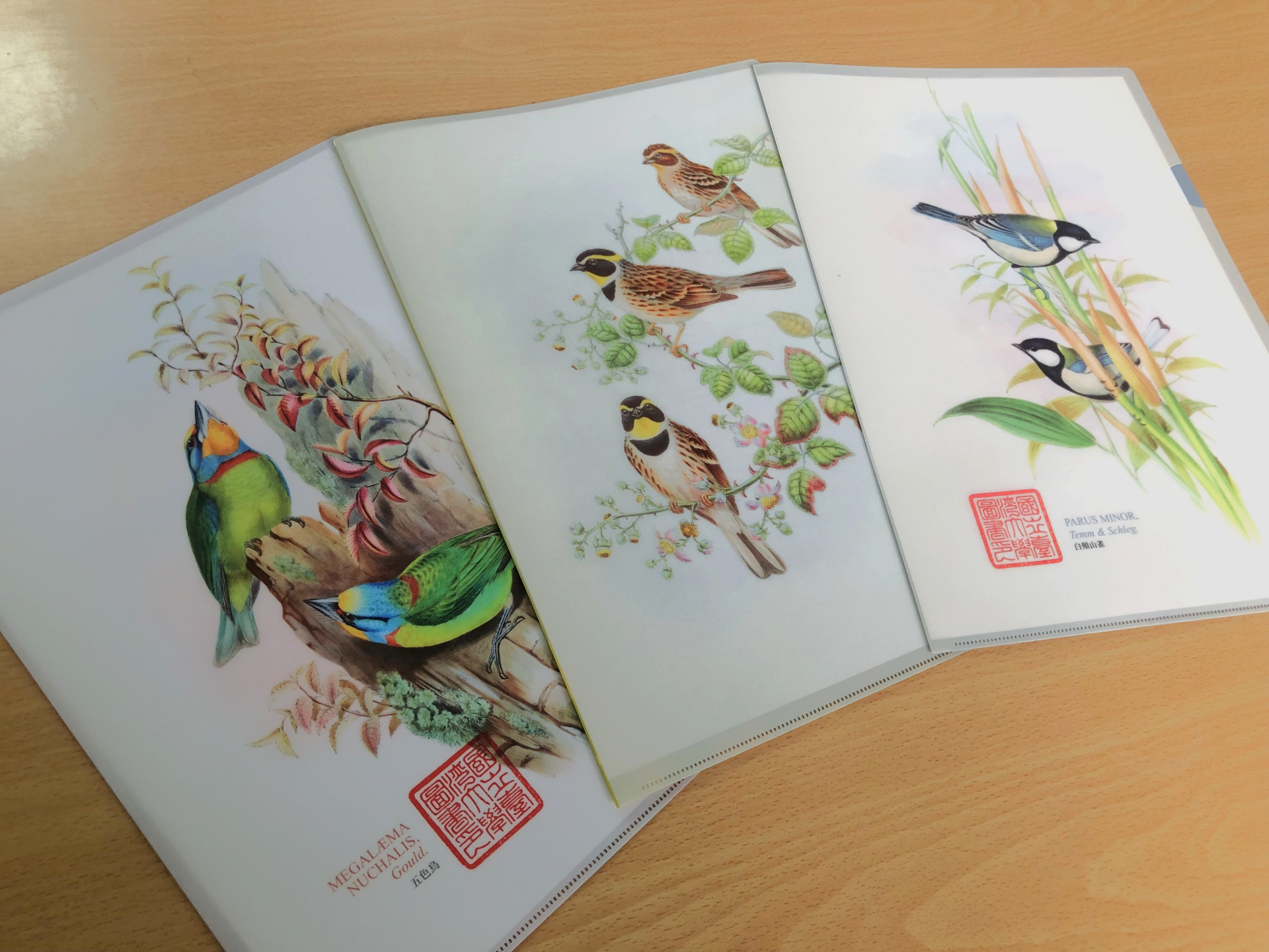 臺大特藏L夾—the Birds of Asia (no.21-23)